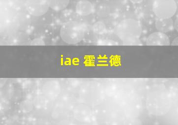 iae 霍兰德